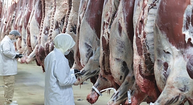 8 ilde et operasyonu: 30 şüpheli gözaltına alındı