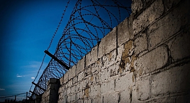 Cezaevine girmemek için 8 çocuk doğurdu!