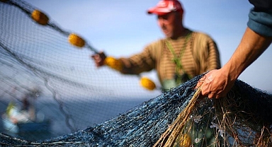 Kahramanmaraş’ta Sazan ve Yayın balığı yasağı!