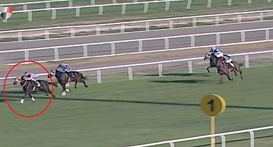 Kavurma yapılan atın sahibine ceza!