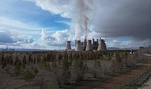 Çelikler Holding’den kamuoyuna açıklama: “İstihdam azalmadı, aksine arttı”