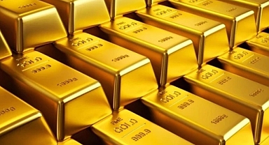 Durdurulan Araçtan 590 Milyon TL’lik Kaçak Altın ve Döviz Çıktı