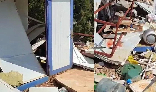 Kahramanmaraş Ekinözü’nde ayı saldırısı!