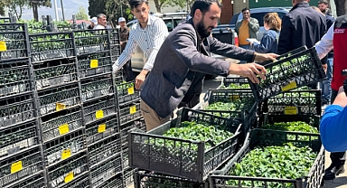 Kahramanmaraş’ta 500 çiftçiye %100 hibeli Maraş biberi fidesi dağıtıldı!