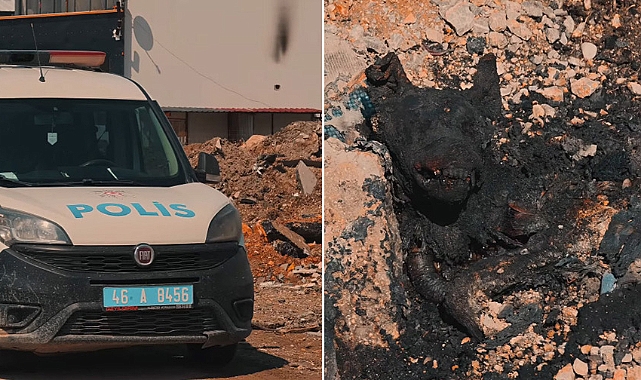 Kahramanmaraş'ta Yakılmış Köpek Cesedi bulundu!