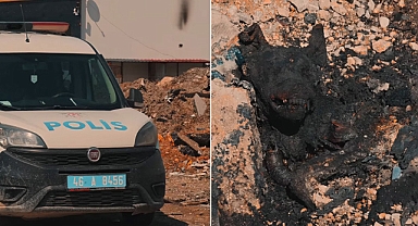 Kahramanmaraş'ta Yakılmış Köpek Cesedi bulundu!