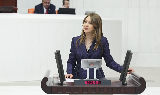 MHP’li Zuhal Karakoç TBMM’de konuştu: 