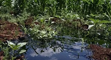 Üniversitede petrol bulundu! 