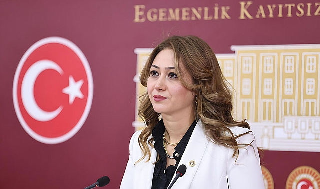 Zuhal Karakoç Atama sorunlarını meclise taşıdı!