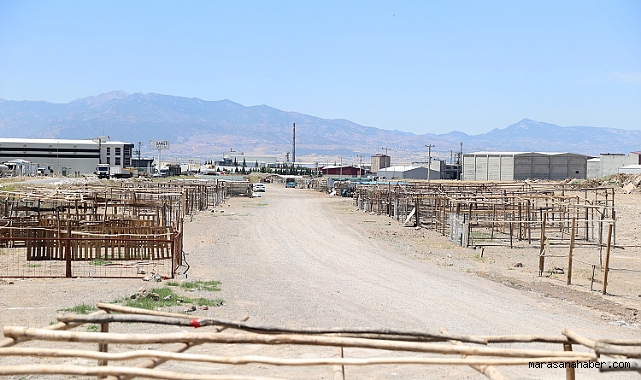 Dulkadiroğlu’nda 2026 Kurban Pazarı Mado Yolu Üzerinde Kuruluyor!