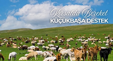 Küçükbaşa Destek Sonuçları Sorgulama Ekranı: 2026 Kırsalda Bereket Başvuru Sonuçları İsim Listesi Yayınlandı mı?