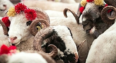 Kurban Bayramı Tatili Uzatıldı: 9 Günlük İzin Kararı Açıklandı