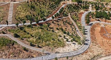 Büyükşehir’in ‘Yeşil Dönüşüm’ Hamlesi Karbon Yutak Alanı’nda Çalışmalar Sürüyor