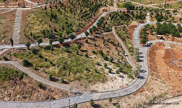 Büyükşehir’in ‘Yeşil Dönüşüm’ Hamlesi Karbon Yutak Alanı’nda Çalışmalar Sürüyor