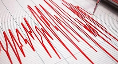 Dünyanın Farklı Bölgelerinde Peş Peşe Depremler: Birçok Ülkede Sarsıntı, Geniş Çaplı Endişe