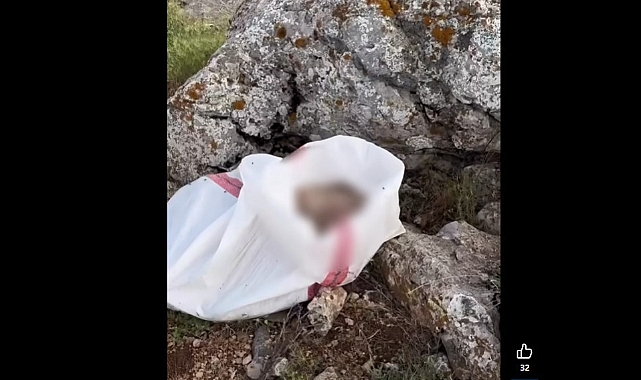 Elbistan'da Vicdanları Sızlatan Olay: Öldürülmüş Eşek Çuval İçinde Arazide Bulundu