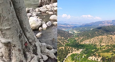 Kahramanmaraş’ta Binlerce Ağaç Tehlikede: Fırnız Çayı’nda Kesim Kararı Tepki Çekti
