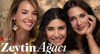 Zeytin Ağacı 3. Sezon Nereden İzlenir? Full HD İzleme Ekranı ve Tüm Bölüm Detayları