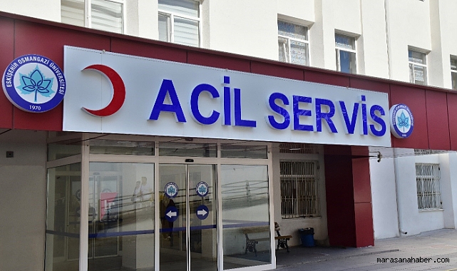 Kahramanmaraş’ta Dut Topladıktan Sonra Yolun Karşısına Geçmek İsterken Canından Oldu!