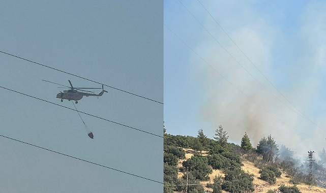 Kahramanmaraş'ta Orman Yangını Kısa Sürede Kontrol Altına Alındı! 