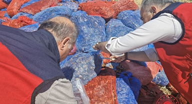 Kahramanmaraş'ta Sahte Gıda Operasyonu: Tonlarca Domates Kurusu İmha Edildi!