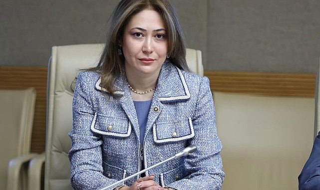 MHP'li Karakoç: