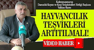 Kuzu: Hayvancılık Teşvikleri Artırılmalı