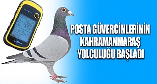 POSTA GÜVERCİNLERİNİN MARAŞ YOLCULUĞU BAŞLADI