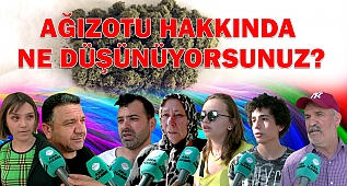 Ağızotu hakkında ne düşünüyorsunuz?