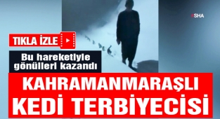 Kahramanmaraşlı Kedi Terbiyecisi
